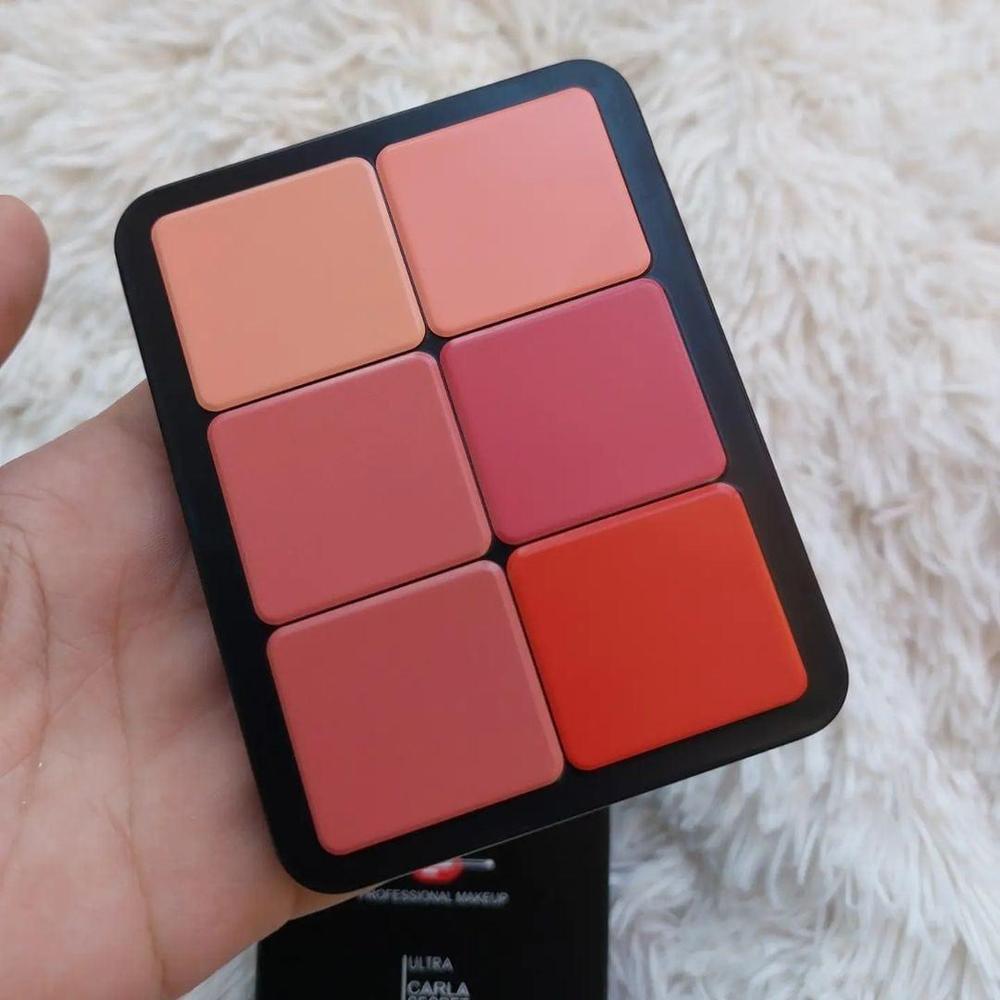 12 In 1 Creamy Blush Lipstick Palette – image 3